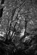 Infrared black&white Lippstadt