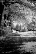 Infrared black&white Lippstadt