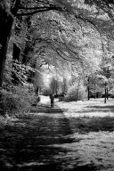 Infrared black&white Lippstadt