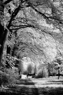 Infrared black&white Lippstadt