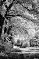 Infrared black&white Lippstadt
