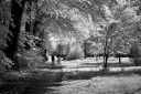 Infrared black&white Lippstadt