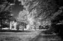 Infrared black&white Lippstadt